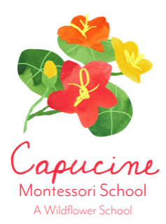 Image of Capucine Montessori School Program program