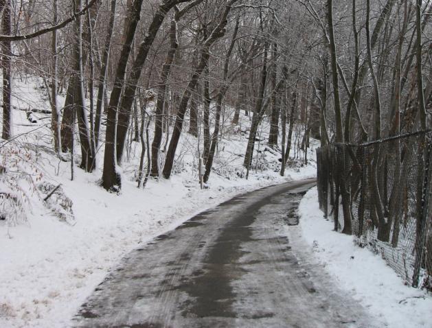 Winter paths at Fresh Pond