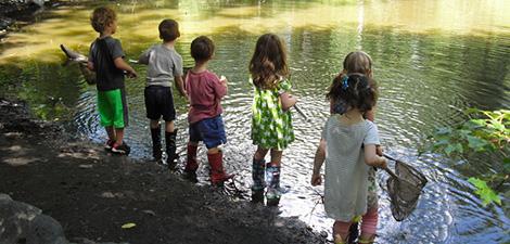 Image of Habitat Nature Day Camp program