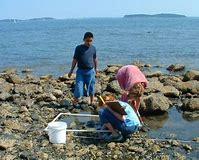 Image of New England Aquarium Harbor Discoveries Camp program