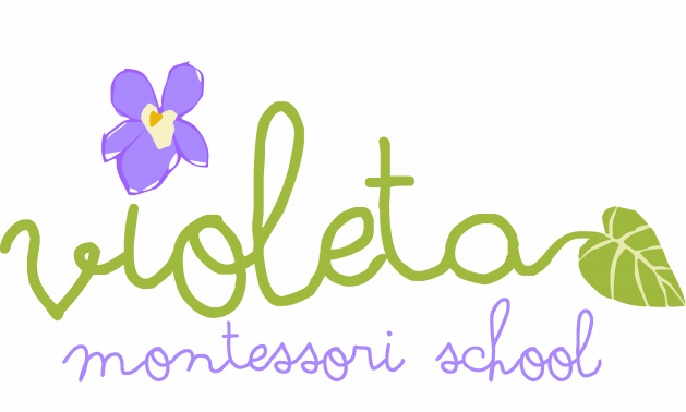 Image of Violeta Montessori School organization